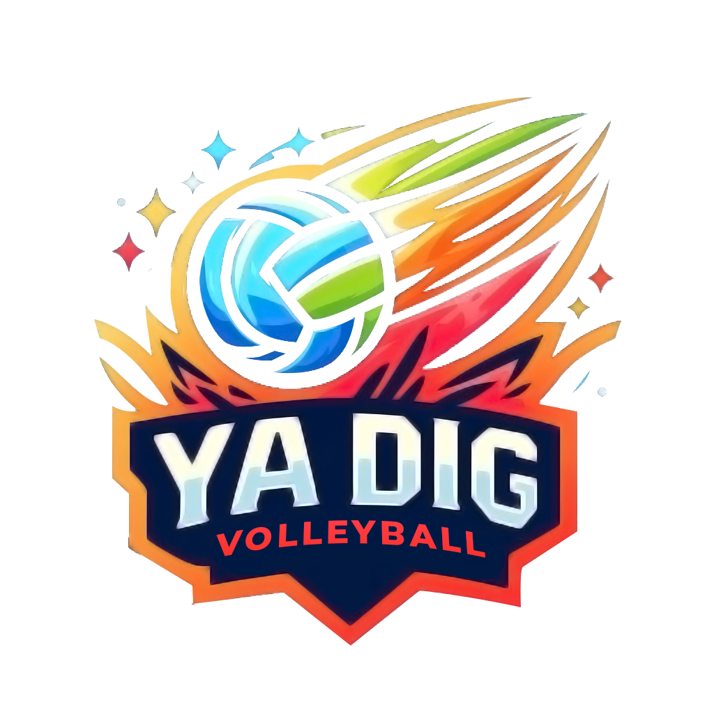 Ya Dig Volleyball Logo